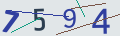 verifycode